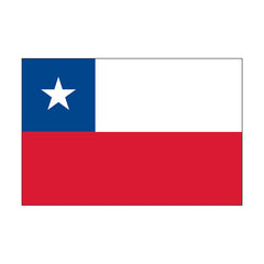 Chile Flag - Made in USA