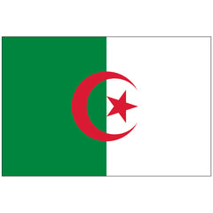 Algeria Flag - Made in USA.